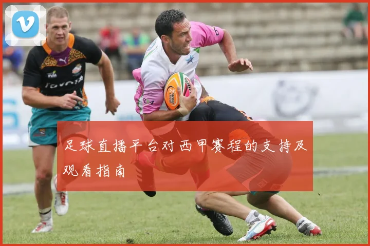 足球直播平台对西甲赛程的支持及观看指南