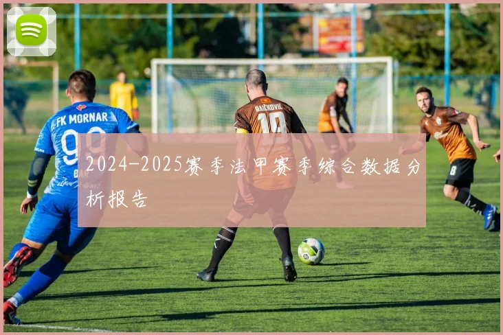 2024-2025赛季法甲赛季综合数据分析报告